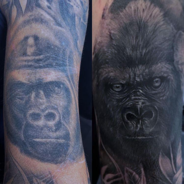 Gorilla Cover Up